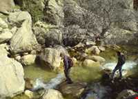 تنگ غوره دان