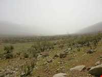 تنگ غوره دان