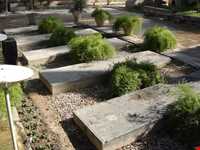 باغ هفت تن ( موزه سنگ )