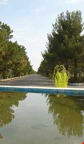 پارک جنگلی سوکان