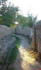 کوچه باغ سمنان