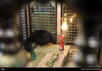 imam Zadeh Ali-ebne jafar ( semnan )