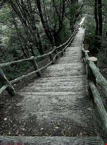 پارک جنگلی میرزا کوچک خان