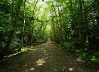 پارک جنگلی میرزا کوچک خان