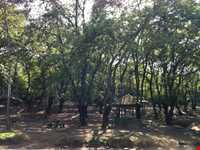 پارک جنگلی میرزا کوچک خان