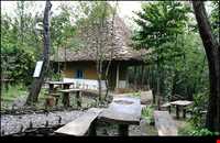 پارک جنگلی میرزا کوچک خان