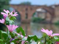 پل خشتی لنگرود