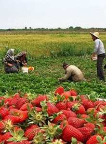 بهنمیر ( منطقه ساحلی و گردشگری میرود )