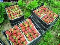 بهنمیر ( منطقه ساحلی و گردشگری میرود )