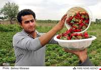 بهنمیر ( منطقه ساحلی و گردشگری میرود )