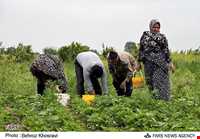 بهنمیر ( منطقه ساحلی و گردشگری میرود )