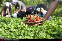 بهنمیر ( منطقه ساحلی و گردشگری میرود )