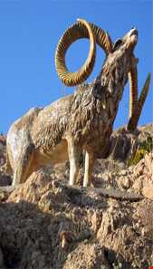 پارک آبشار مهدیشهر