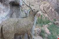 Mahdi Shahr Waterfall Park