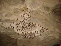 غار شیر بند