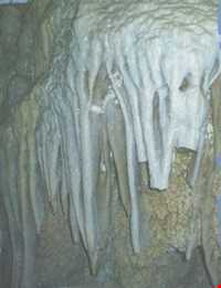 غار شیر بند