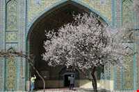 Jameh Mosque of Sanandaj ( darolehsan )