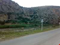 Hezar jerib area