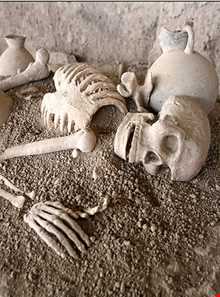 سایت موزه گوهر تپه