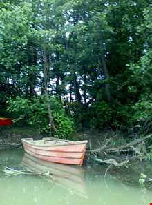 مرداب نشتارود