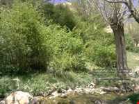 روستای دروار