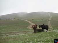 روستای گرسماسر
