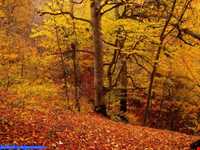 روستای گرسماسر