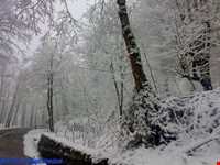 روستای گرسماسر