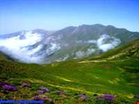 روستای گرسماسر