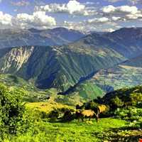 روستای گرسماسر