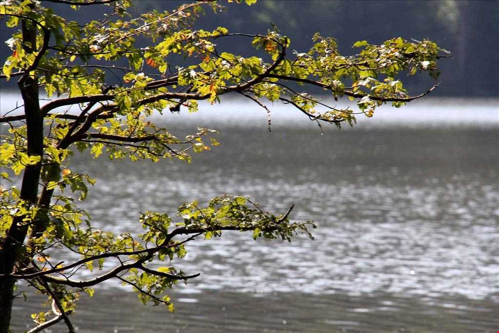 دریاچه الندان