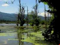 دریاچه الندان