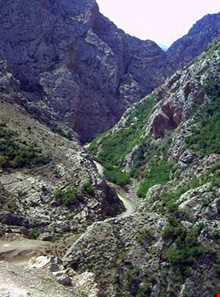 Do dangeh protected area