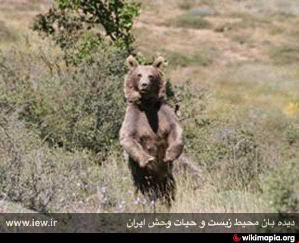 منطقه حفاظ شده دودانگه