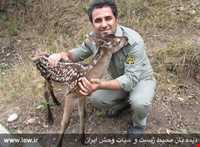 منطقه حفاظ شده دودانگه