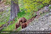 منطقه حفاظ شده دودانگه