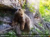 منطقه حفاظ شده دودانگه