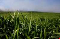 منطقه حفاظ شده دودانگه