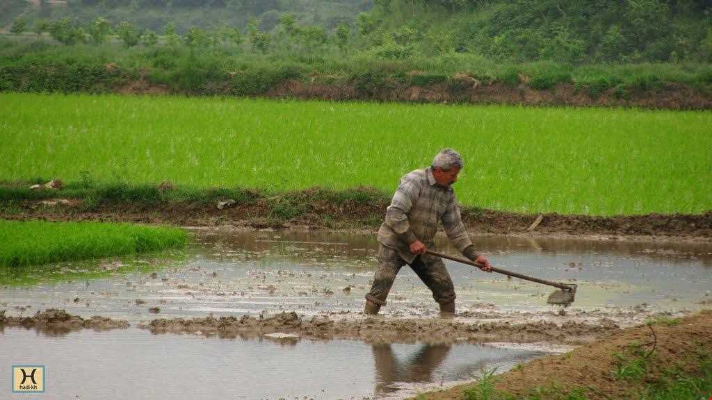 روستای کوتنا