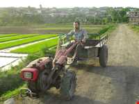 روستای کوتنا