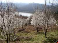 دریاچه سد زمزم