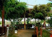 Paein lamouk tourism park