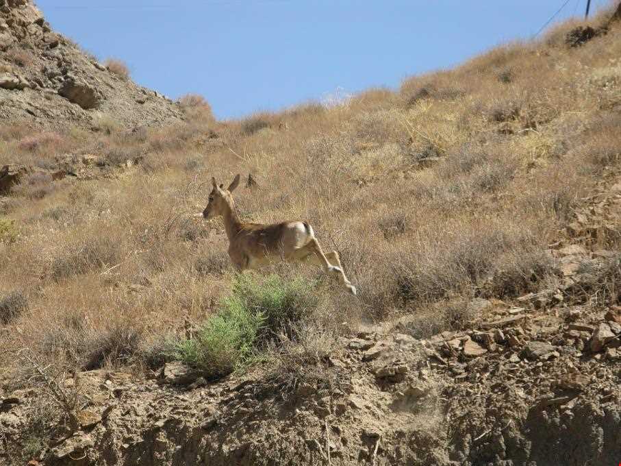 Tepal  forbedden huntin area