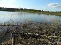 Saroukala ( mianroud ) ponds