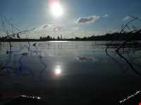 Saroukala ( mianroud ) ponds