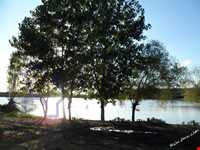 Saroukala ( mianroud ) ponds