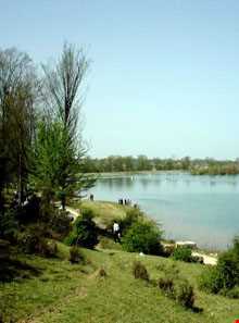 دریاچه سد آویدر