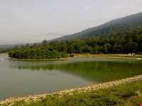 دریاچه سد آویدر