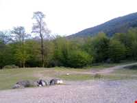 دریاچه سد آویدر