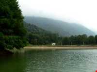 دریاچه سد آویدر